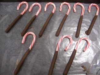 instuctiions to make chocolate covered candy canes